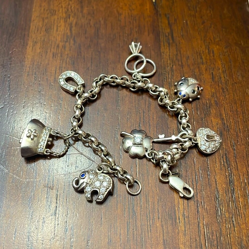 Silver Lucky Charm Bracklet